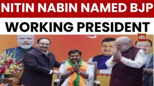 why-bjp-has-working-president-explained